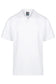 Aussie Pacific Mens Claremont Polo