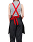 Winning Spirit Brunswick Bib Apron